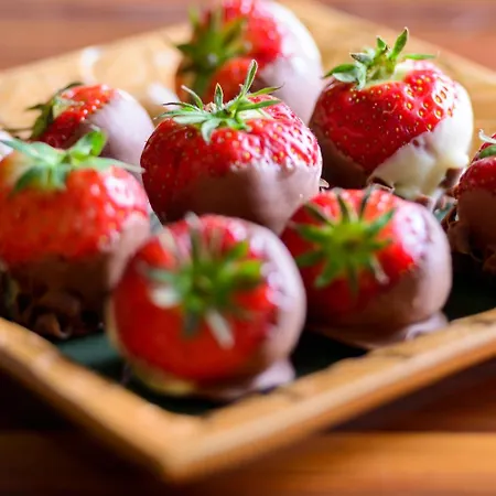 Otel The Maritime 4*